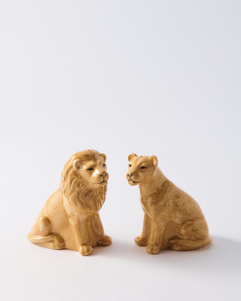 Zooniverse Lion Paint Your Own DIY Suncatcher Zooniverse Lion Paint Your Own DIY Suncatcher