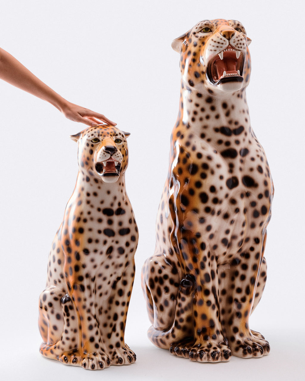 The Leopards – Rosemary Home
