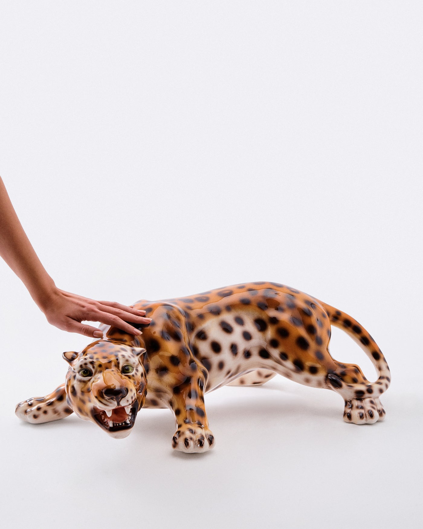 The Crouching Leopard – Rosemary Home