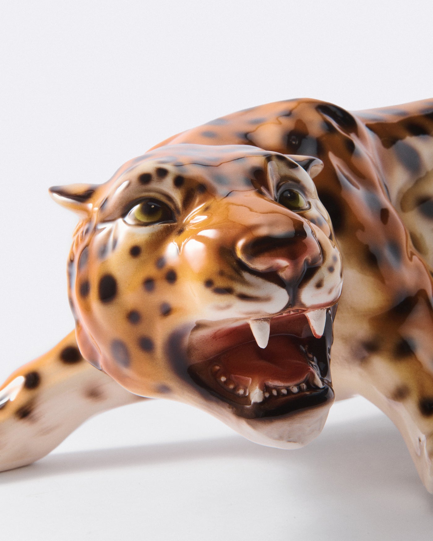 The Crouching Leopard – Rosemary Home