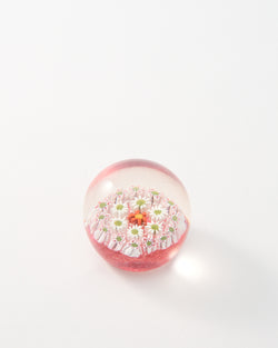 Murano Pink/Green/White Millefiori Paperweight