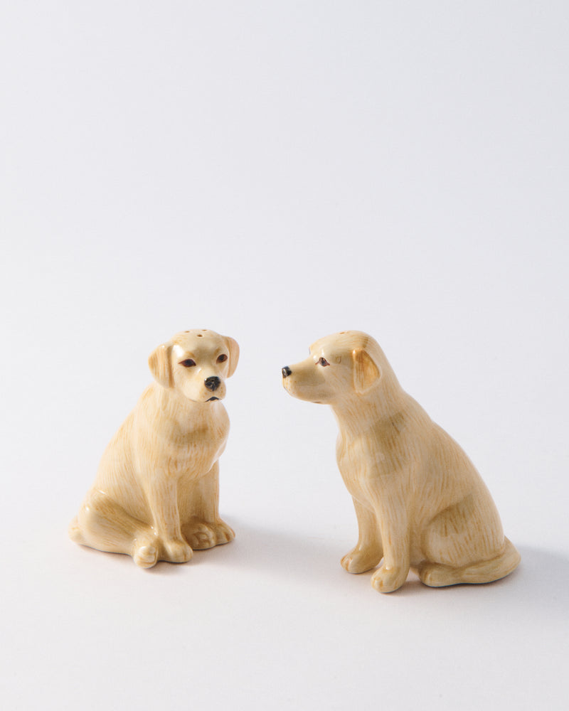 Handmade Ceramic Labrador Salt & Pepper Shakers
