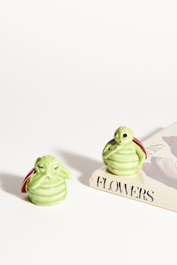 Mr and Mrs Bug Shaker Set